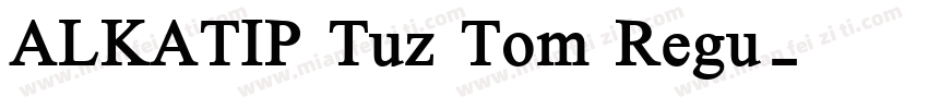 ALKATIP Tuz Tom Regu字体转换